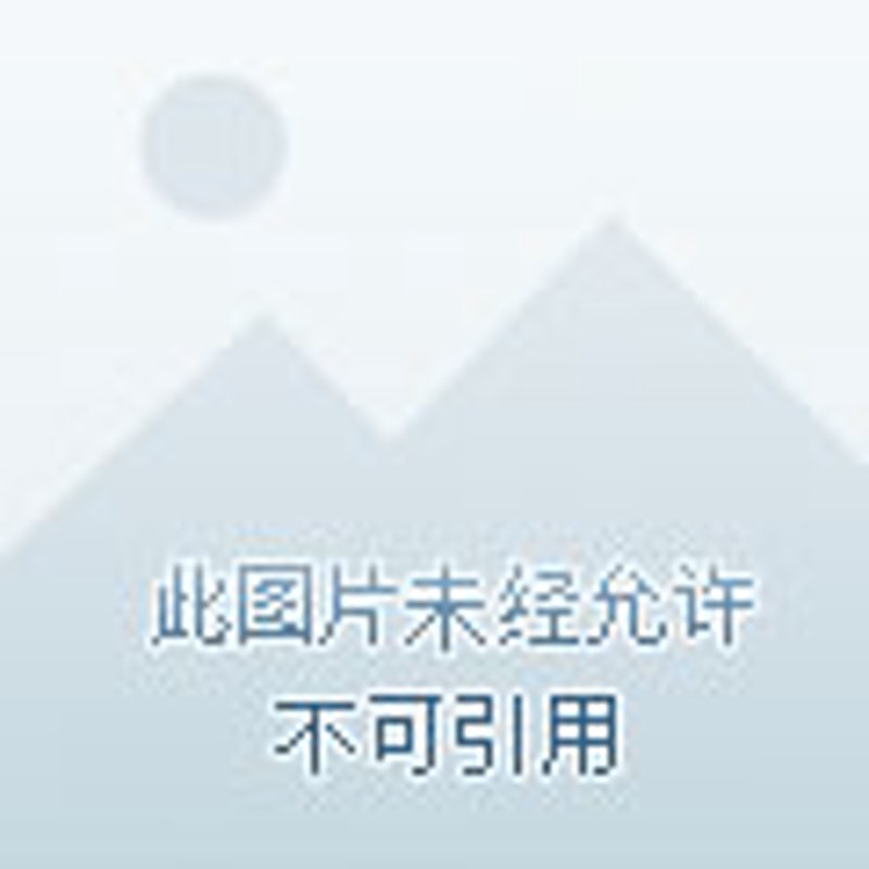 管道工程师资格证：行业趋势与个人发展